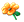 images/